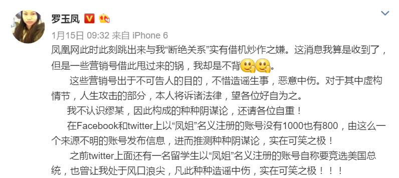 收入证明_拍卖文稿收入8000(2)